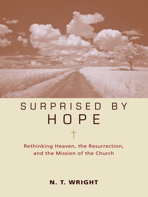 cover image of Surprised by Hope Participant's Guide